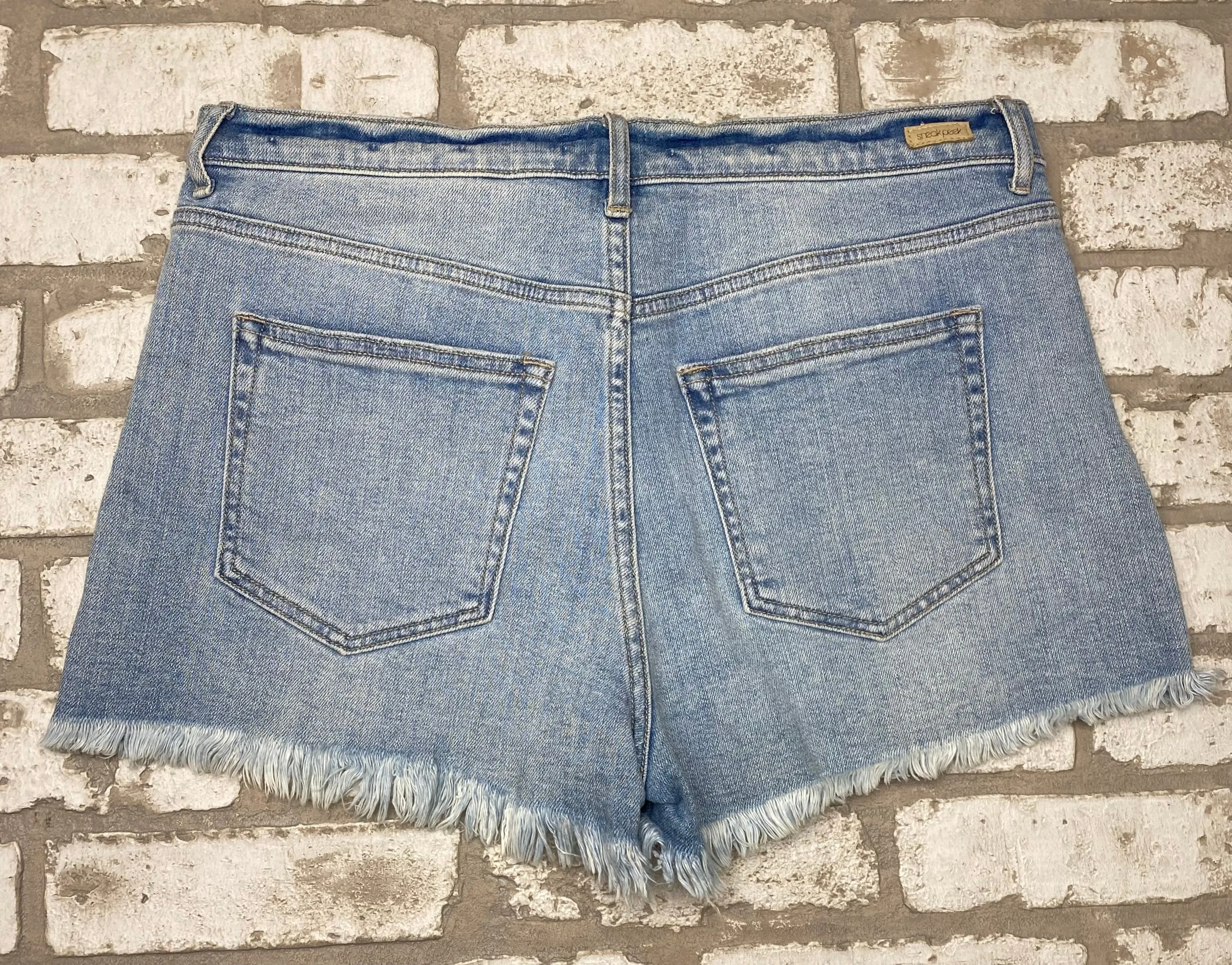 Sneak Peek High Rise Shorts- (L/10)